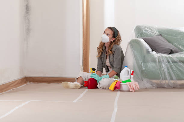 Reliable Mold Remediation contractor in Abell, MD by WQB Mold Removal